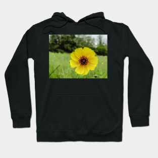 32218 yellow buttercup Hoodie